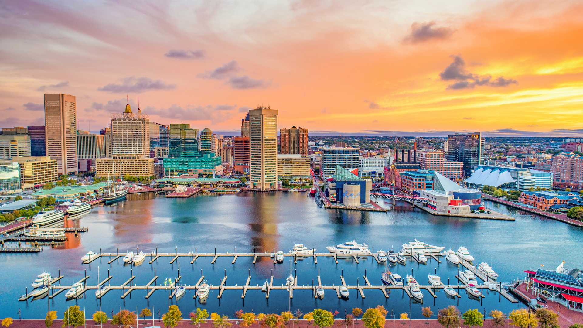 BMES 2024 Early Registration is NOW OPEN!