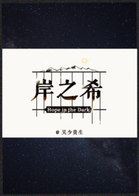 岸之美公司产品介绍